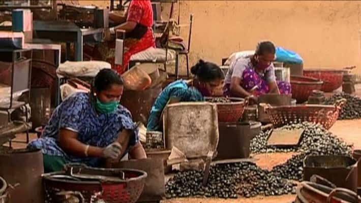 Cashew factories reopen after a gap of more than a month with Strict restrictions