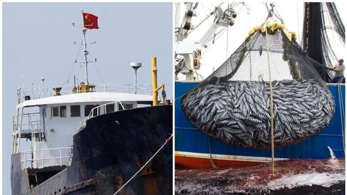 Ecuador on high alert as fleet of Chinese fishing ships flock Galapagos island area Ecuador on high alert as fleet of Chinese fishing ships flock Galapagos island area