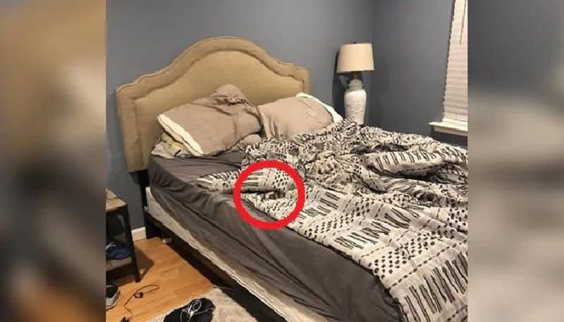 How Quickly Can You Find The Dog In This Pic