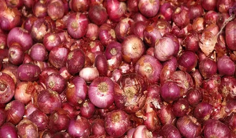 India bans onion exports as prices treble in a month BSS