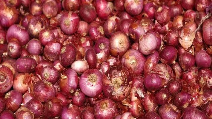 Salmonella Outbreak That Infected More Than 400 People in The US is Linked to Red Onions Salmonella Outbreak That Infected More Than 400 People in The US is Linked to Red Onions