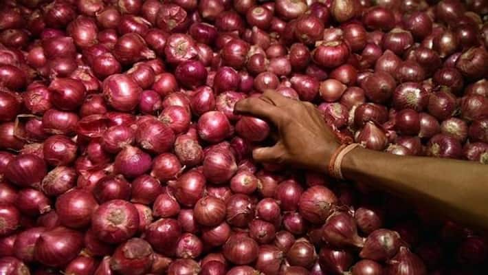 Onion woes continue: Wait for a month, say traders Onion woes continue: Wait for a month, say traders
