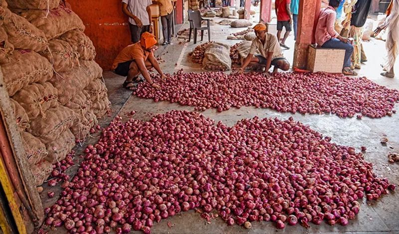 India bans onion exports as prices treble in a month BSS
