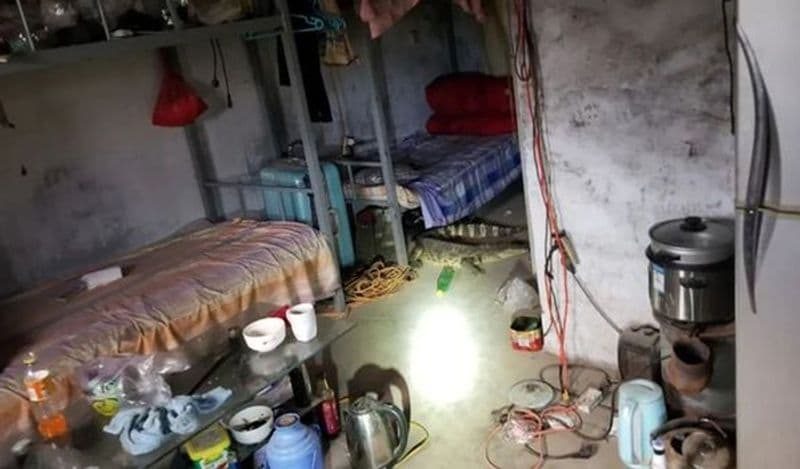 man heard voices coming inside bed at midnight got heart attack discovering giant beast kph