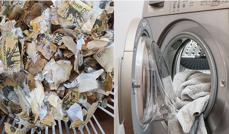 south korean man washes 14 lakh rupees in laundary machine to disinfect it from corona virus kph