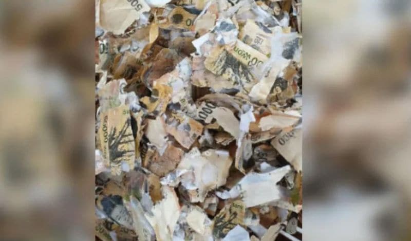 south korean man washes 14 lakh rupees in laundary machine to disinfect it from corona virus kph