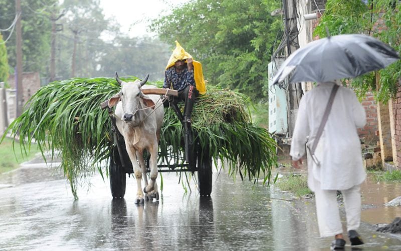 Weather update heavy rainfall in North Bengal RTB