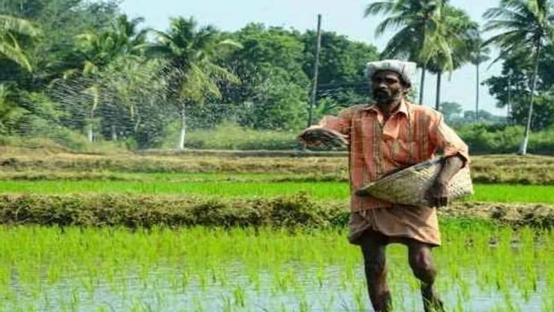 PM Kisan scheme, Modi Government will give agriculture loan to 2.5 crore farmers, interest rate only 4 percent MJA