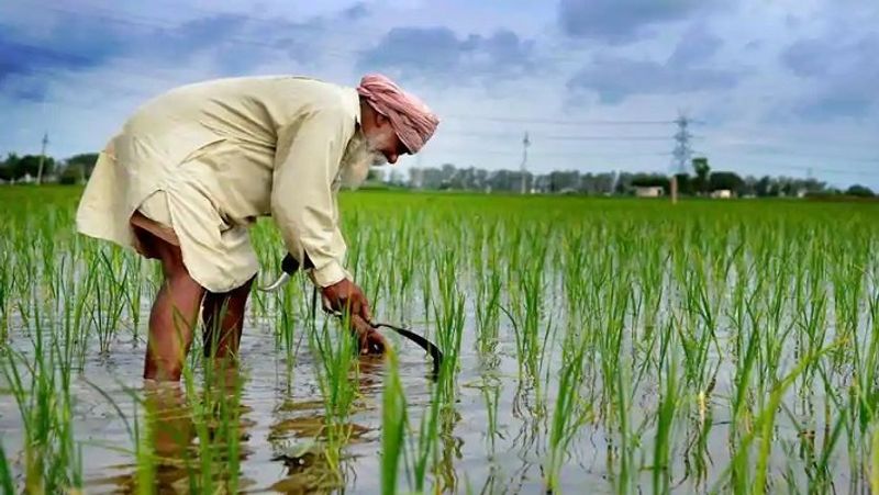 PM Kisan scheme, Modi Government will give agriculture loan to 2.5 crore farmers, interest rate only 4 percent MJA