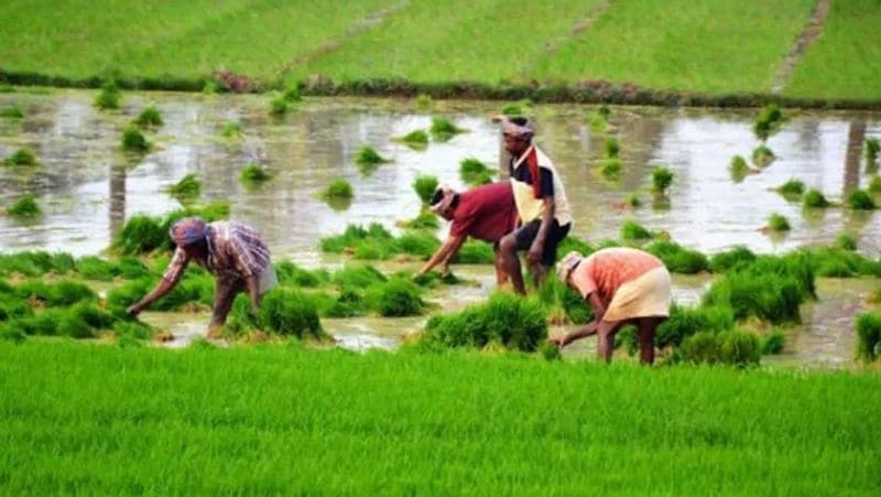 PM Kisan scheme, Modi Government will give agriculture loan to 2.5 crore farmers, interest rate only 4 percent MJA