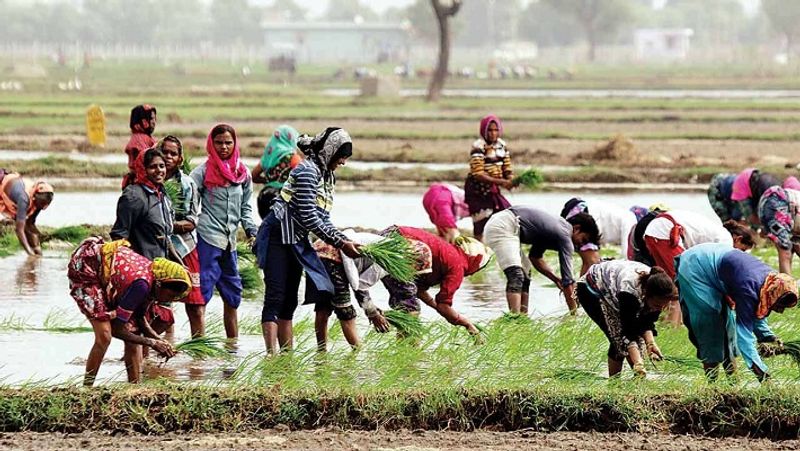 PM Kisan scheme, Modi Government will give agriculture loan to 2.5 crore farmers, interest rate only 4 percent MJA