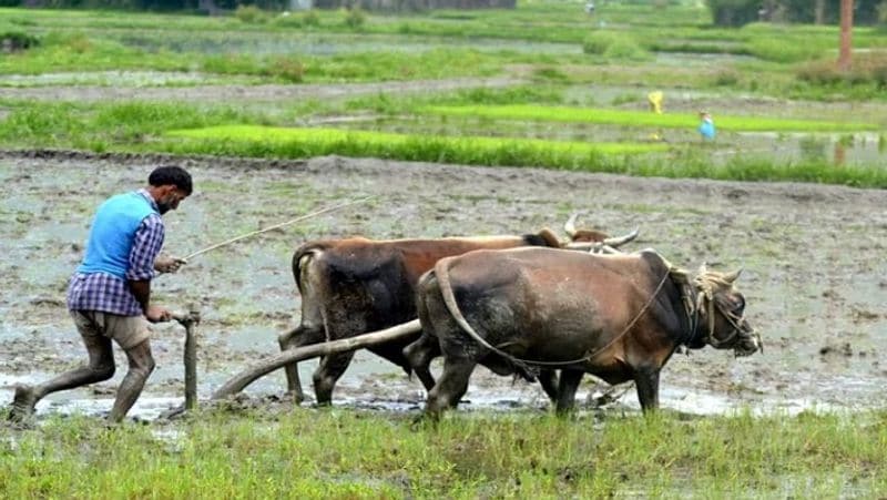 PM Kisan scheme, Modi Government will give agriculture loan to 2.5 crore farmers, interest rate only 4 percent MJA