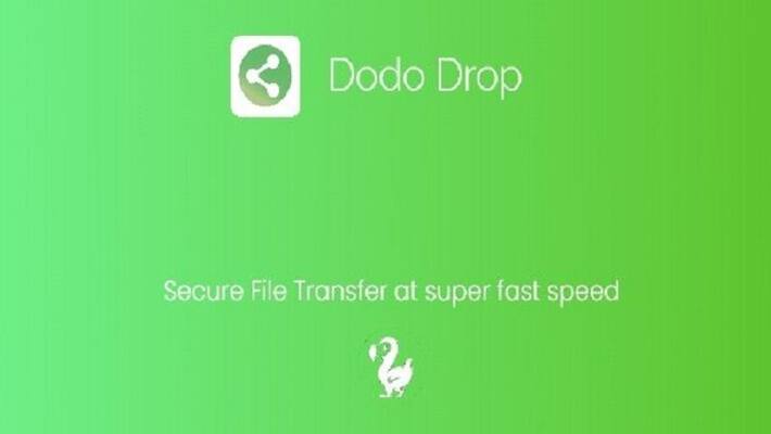 Dodo Drop indian App, An Alternative To Chinese File Sharing share it App Dodo Drop indian App, An Alternative To Chinese File Sharing share it App
