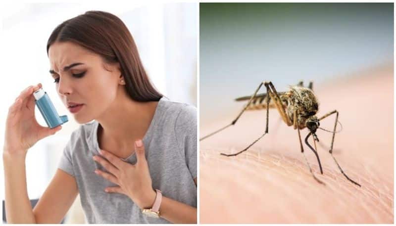 This Pongal, watch out for these symptoms of mosquito borne diseases