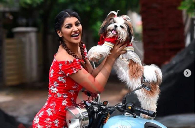 yashika anand dating with boy friend