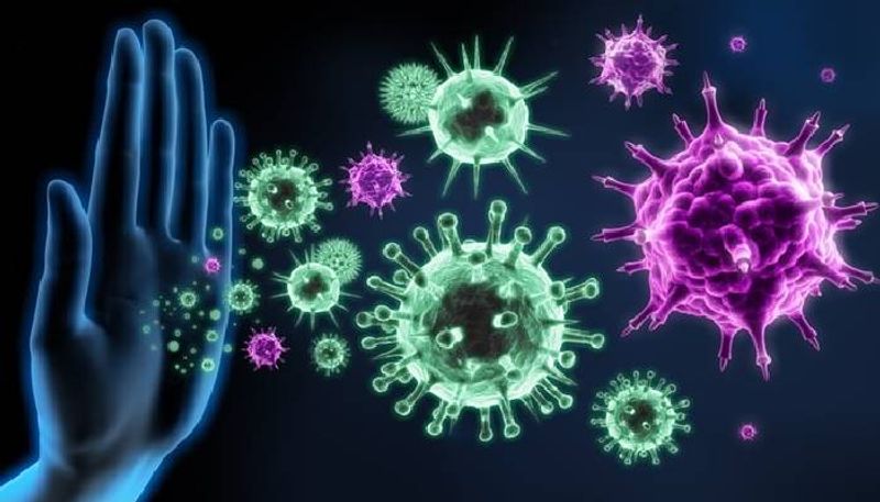 India will have approved Covid vaccine by 2021 Bernstein said in a report BSS