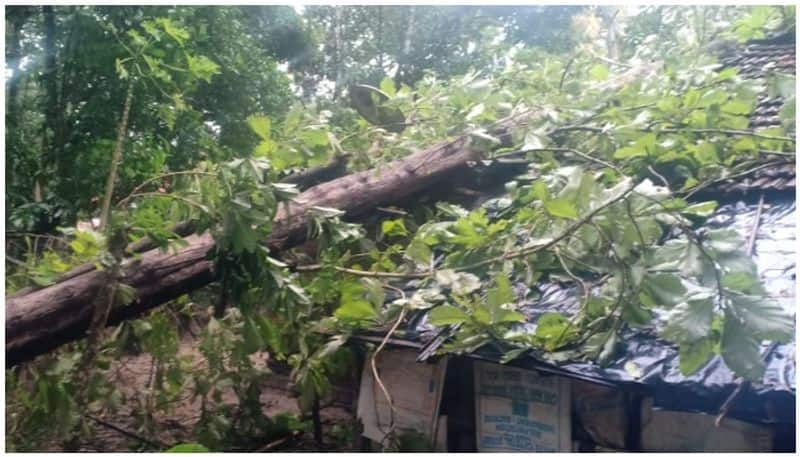 heavy rain in kerala heavy damage in various places