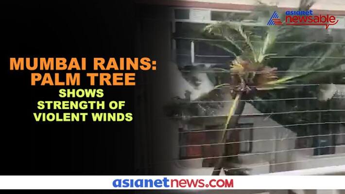 Anand Mahindra Shares The "Most Dramatic" Video Of Rain-Battered Mumbai Anand Mahindra Shares The "Most Dramatic" Video Of Rain-Battered Mumbai