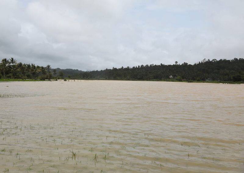 20 hectare land under water in Wayanad