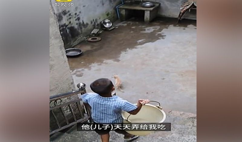 mysterious chinese woman whose belly ballooned uncontrollably from two years now begged for help kph