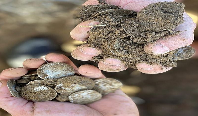 man found centuries year old pot burried filled with silver coins worth 9 crore rupees changed luck in just 2 seconds kph