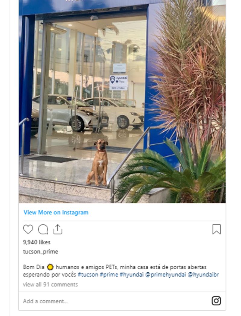 a dog get gaurd job at hyundai showroom in ghaziabad misleading post viral know truth kpt