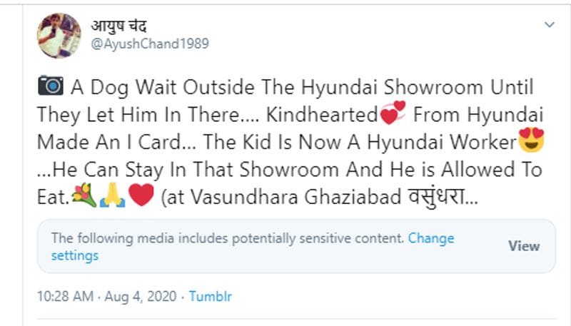 a dog get gaurd job at hyundai showroom in ghaziabad misleading post viral know truth kpt