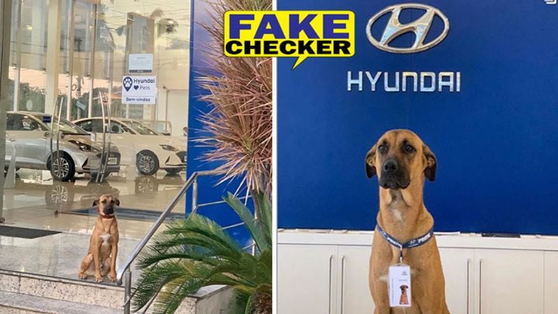 a dog get gaurd job at hyundai showroom in ghaziabad misleading post viral know truth kpt