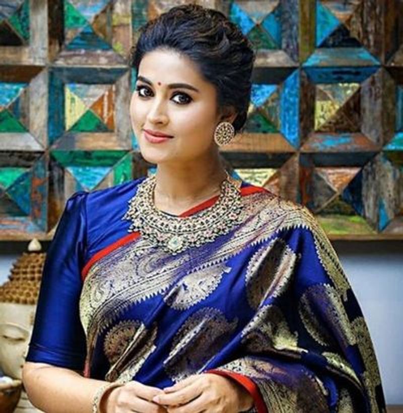 South Heroine Sneha Saree Photos