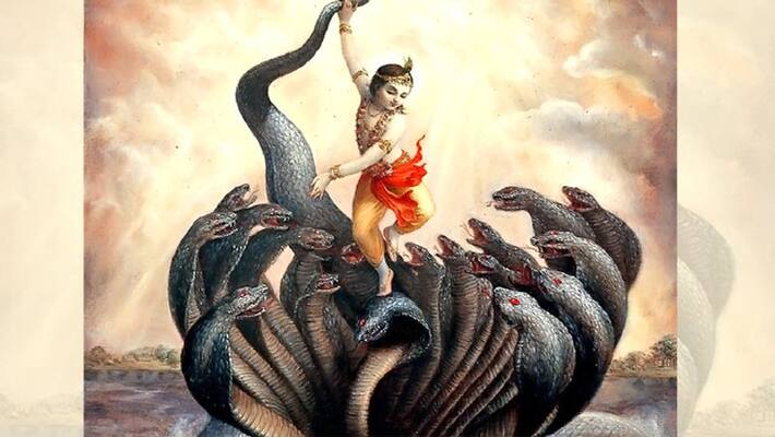 Janmashtami When Shri Krishna gave a message of pollution free rivers by defeating Kalia Nag KPI Janmashtami When Shri Krishna gave a message of pollution free rivers by defeating Kalia Nag KPI