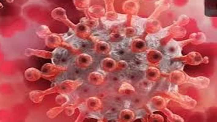 Coronavirus cases in Telangana cross 82 thousand Coronavirus cases in Telangana cross 82 thousand