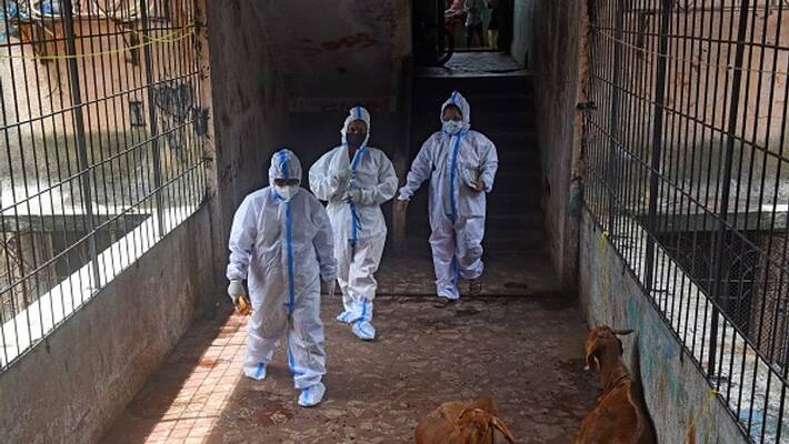 Dogs found chewing on COVID-19 patients dead body in ongole :AP government appoints two members committee Dogs found chewing on COVID-19 patients dead body in ongole :AP government appoints two members committee