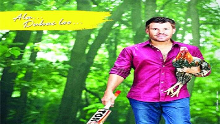 David Warner In The Avatar Of Allu Arjun David Warner In The Avatar Of Allu Arjun