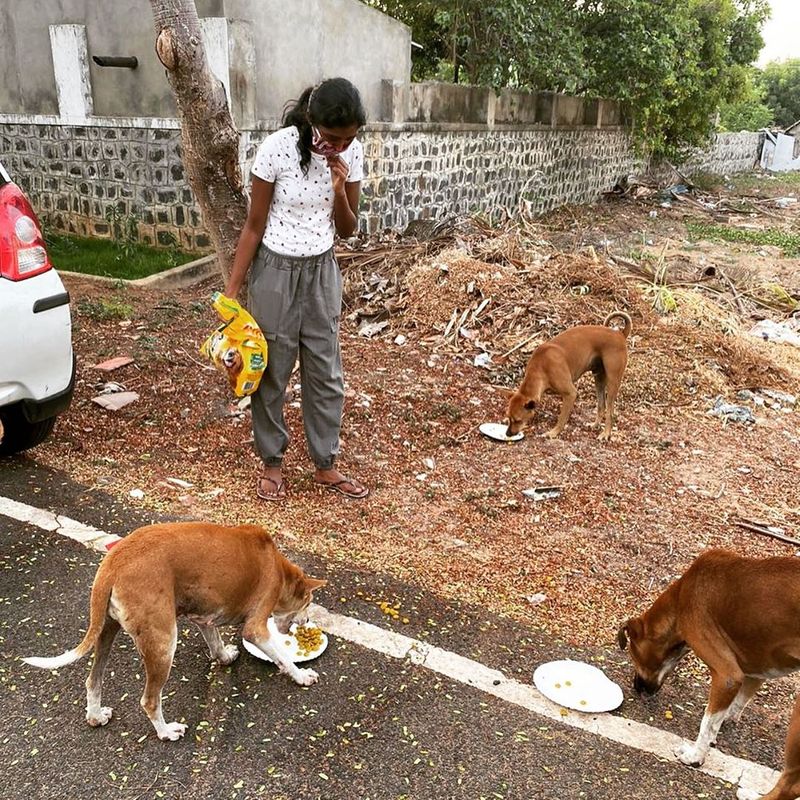 viji chandrasekar daughter lovelyn give food for street dogs