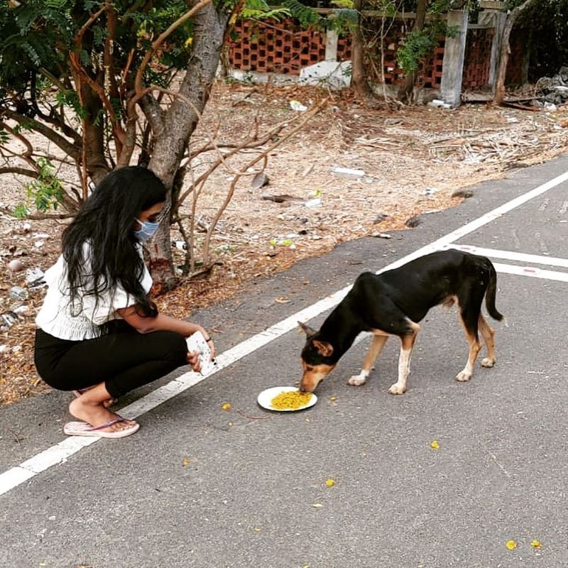 viji chandrasekar daughter lovelyn give food for street dogs