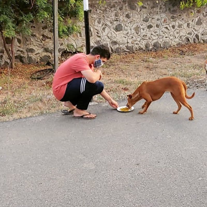 viji chandrasekar daughter lovelyn give food for street dogs