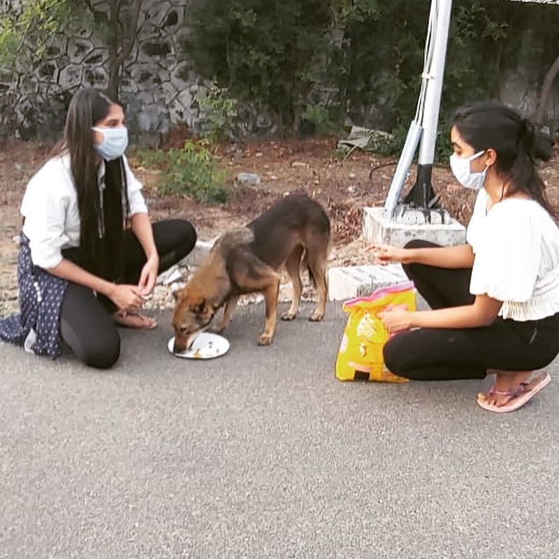 viji chandrasekar daughter lovelyn give food for street dogs