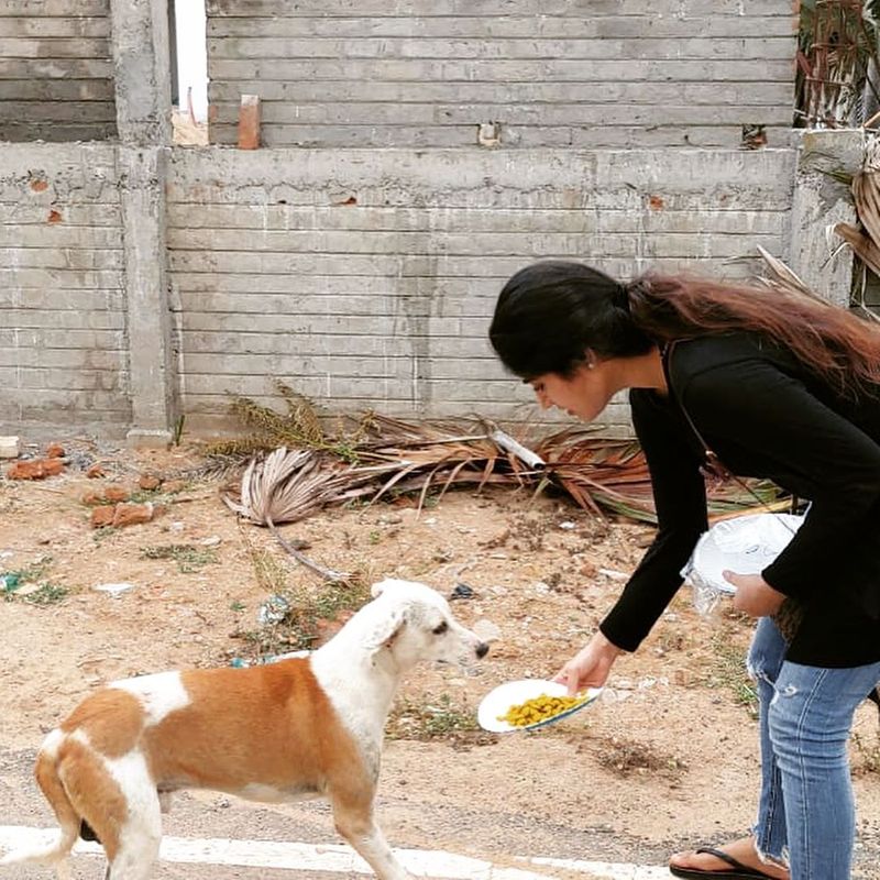 viji chandrasekar daughter lovelyn give food for street dogs