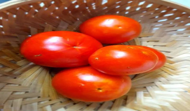 have you ever tried tamatar ke laddu kph