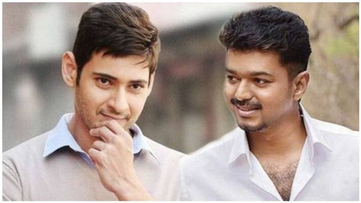 mageshbabu challenge for actor vijay fans expecting more mageshbabu challenge for actor vijay fans expecting more
