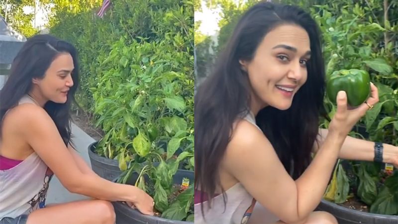 Preity zinta cuts husband gene goodenough hair professionaly KPG