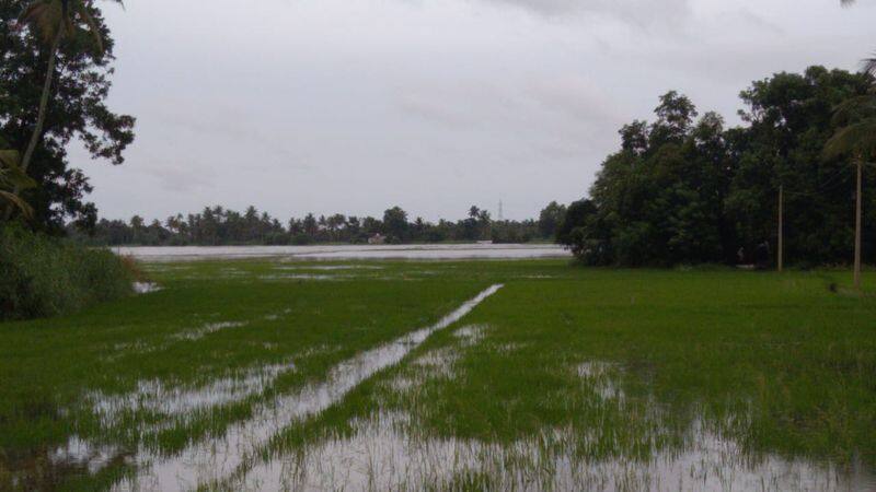 Kerala Rain 2020 water level increased in Upper Kuttanad and people moving