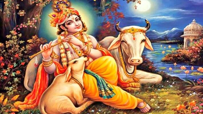 To get good luck and god grace Worship Gopal in janmastami BDD To get good luck and god grace Worship Gopal in janmastami BDD