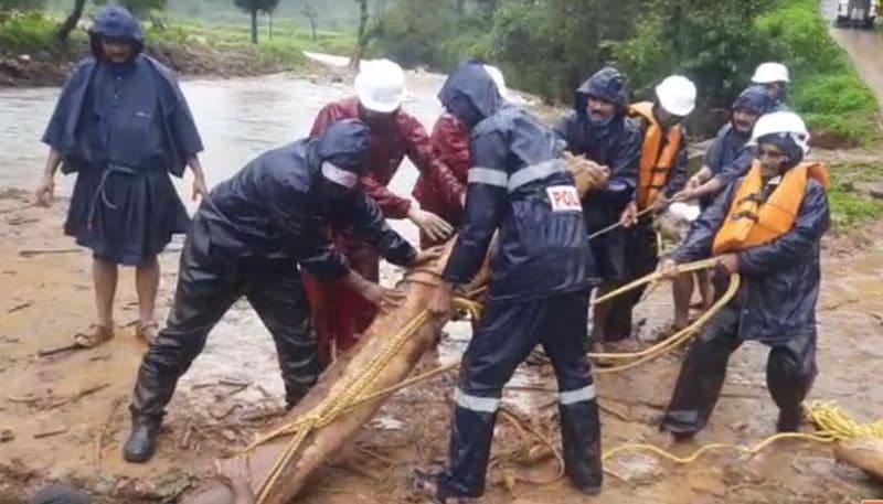 On Wednesday night (August 5), a massive landslide swept away two houses belonging to the temple priest.