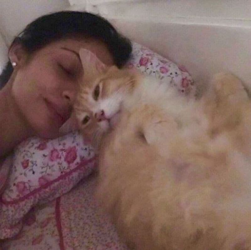 actor sadaa luxury life and her kids photo gallery