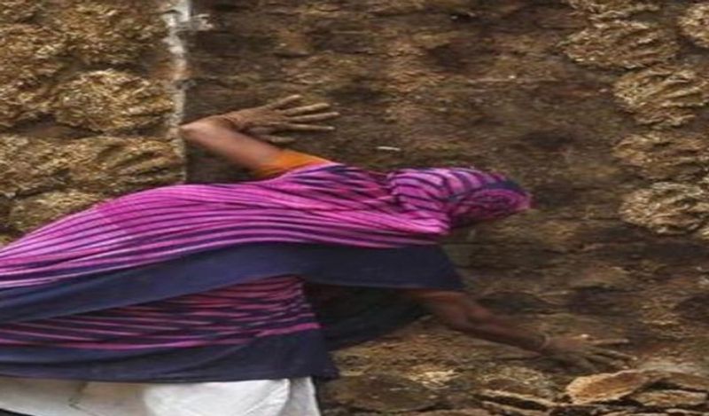 chhattisgarh gobar chor stole 100 kg of cow dung leaving gold and silver from farmers house for this unique reason kph