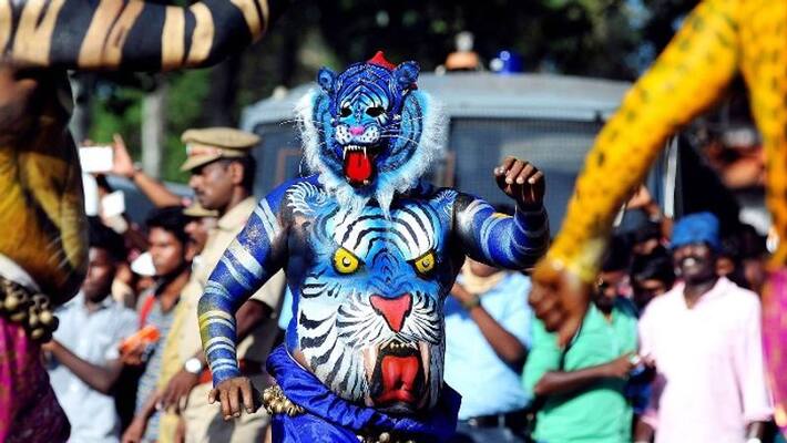 Uncertainty in the Puli Kali to be held in Thrissur tomorrow Uncertainty in the Puli Kali to be held in Thrissur tomorrow