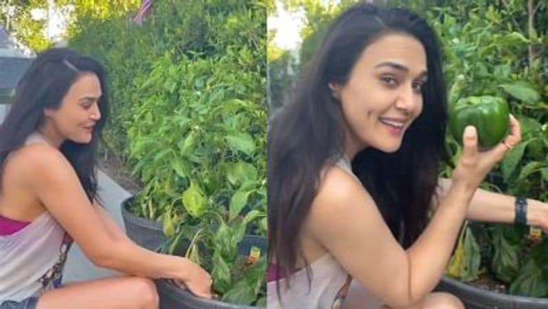 Preity Zinta cuts husband gene goodenough hair professionaly