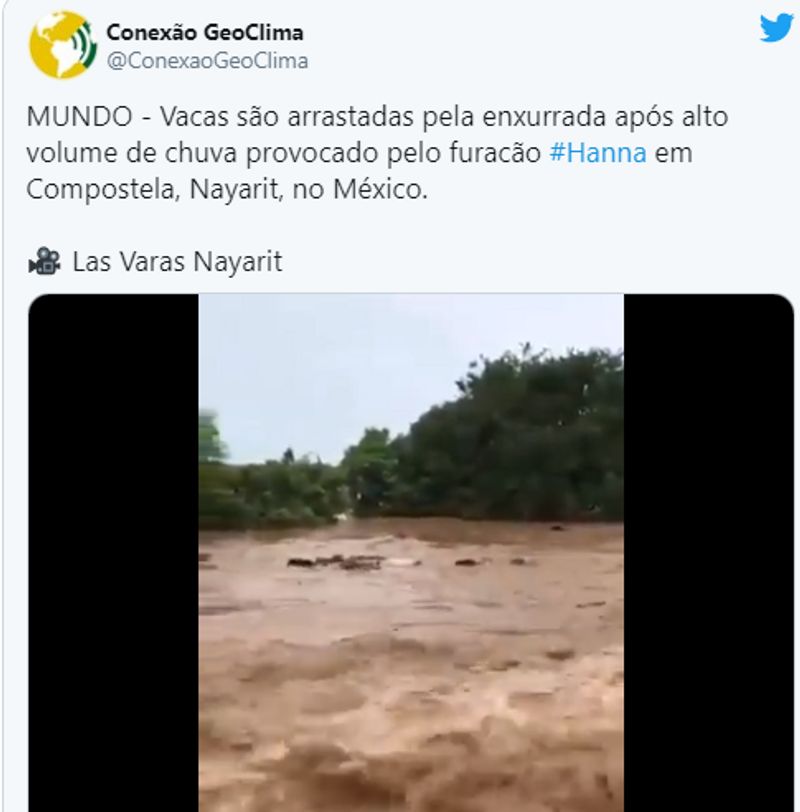 cows washed away in flood water claim said in kerala old mexico video viral kpt