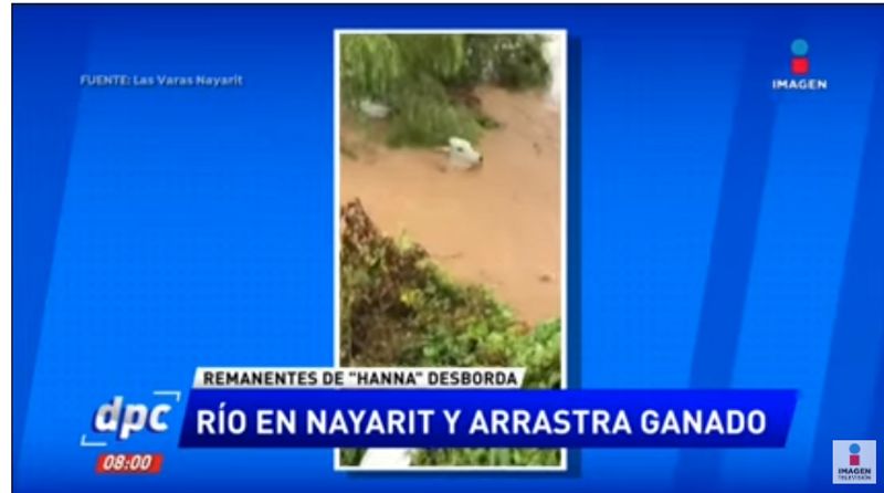 cows washed away in flood water claim said in kerala old mexico video viral kpt
